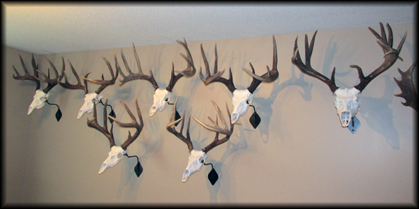Todd Hult - whitetails